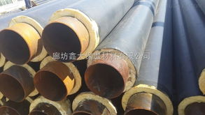 dn600 宁德国标聚氨酯直埋保温管厂家